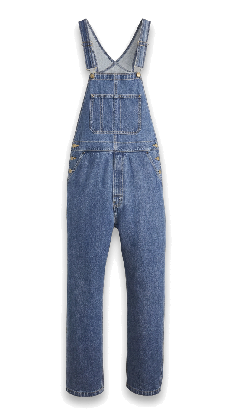 Denim Overalls