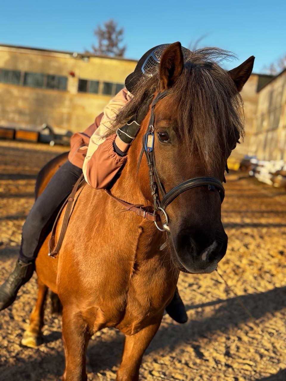 Profile picture