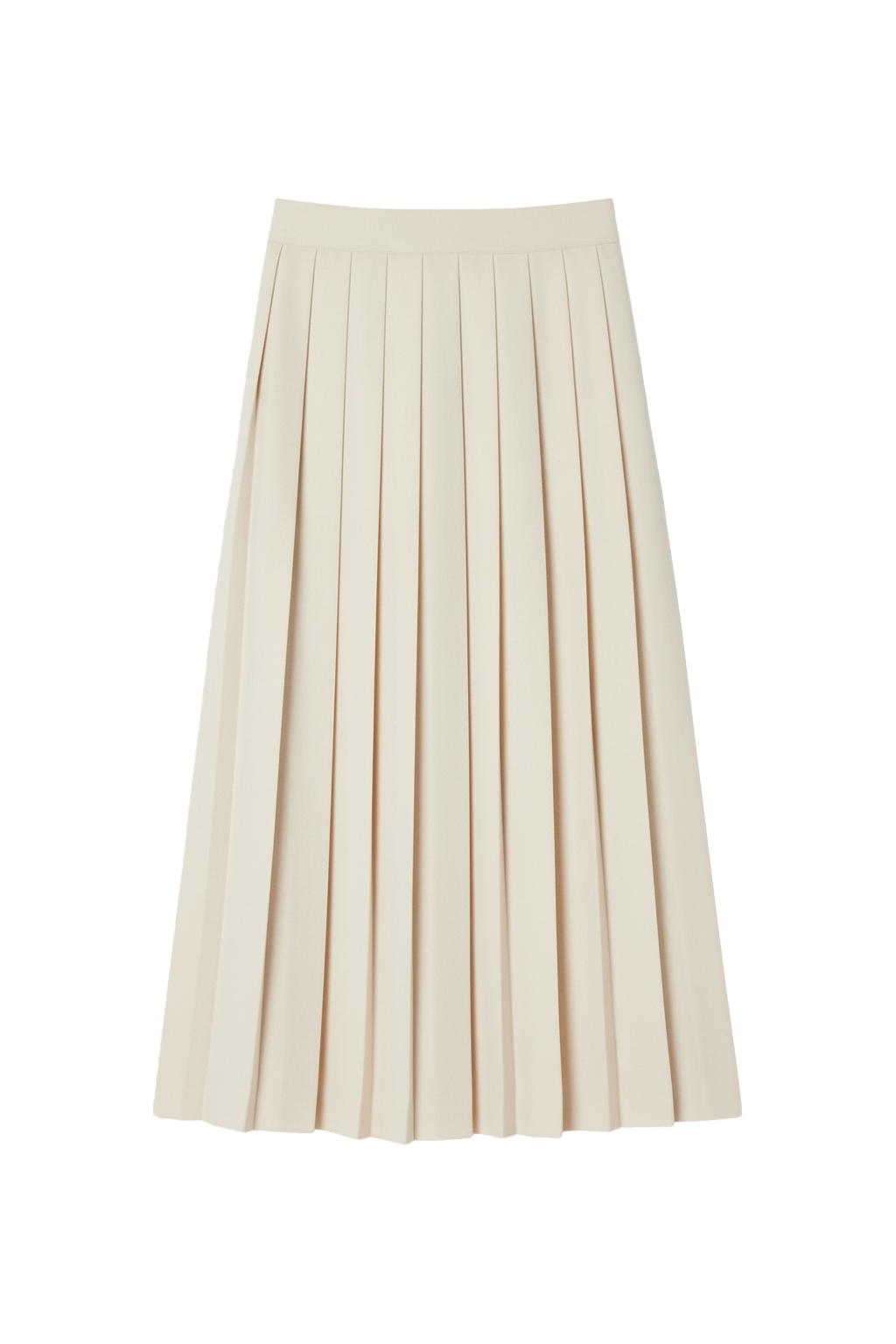 Pleated Skirt