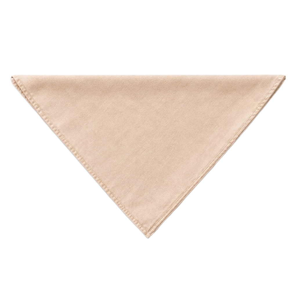 Bandana / Neckerchief